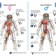 Illustration for article titled Life in Space Affects Men's And Women's Health Very Differently